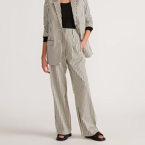 Everlane Way-High Drape Pant in Ombré Stripe Size 00
